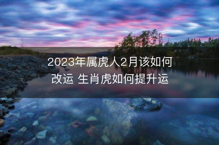 2023年屬虎人2月該如何改運(yùn) 生肖虎如何提升運(yùn)勢(shì)