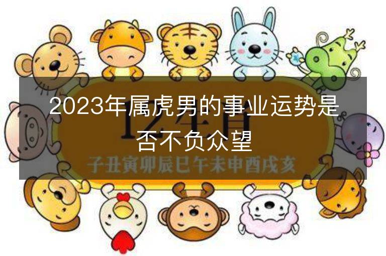 2023年屬虎男的事業(yè)運(yùn)勢(shì)是否不負(fù)眾望