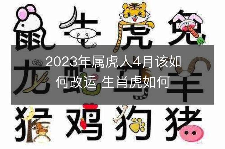 2023年屬虎人4月該如何改運 生肖虎如何提升運勢