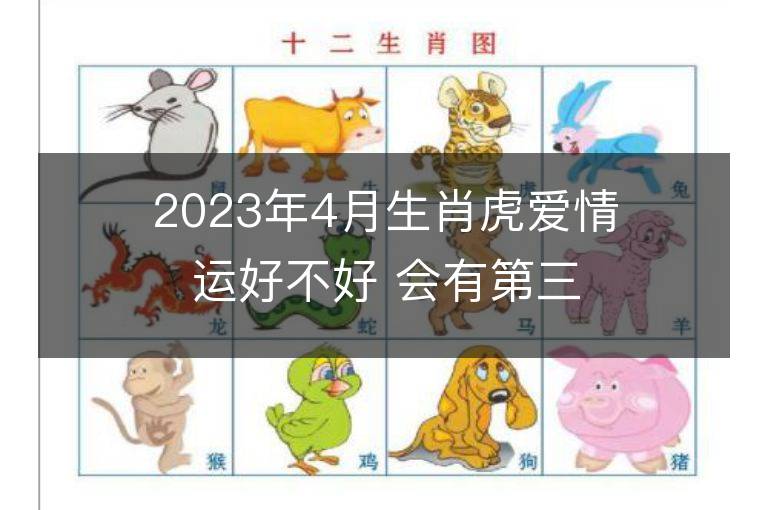 2023年4月生肖虎愛情運好不好 會有第三者插足嗎