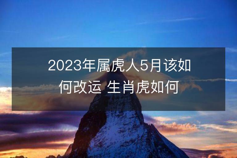 2023年屬虎人5月該如何改運 生肖虎如何提升運勢