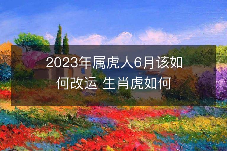 2023年屬虎人6月該如何改運 生肖虎如何提升運勢