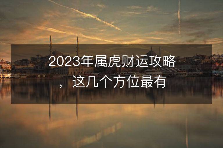 2023年屬虎財運攻略，這幾個方位最有助于你求財！