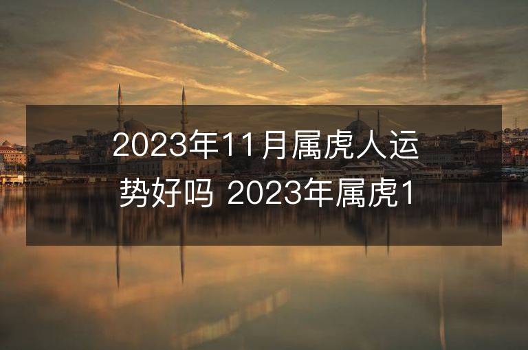 2023年11月屬虎人運勢好嗎 2023年屬虎11月運程如何