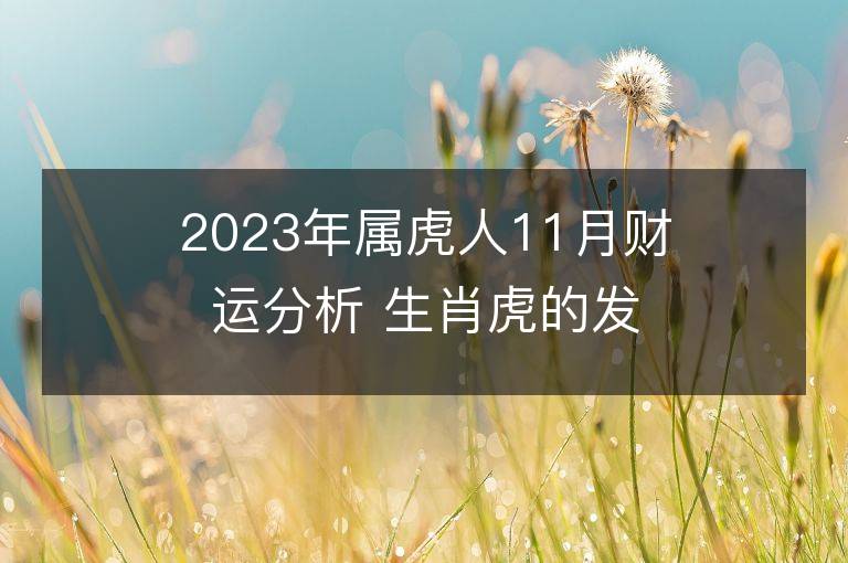 2023年屬虎人11月財運分析 生肖虎的發財方向和貴人