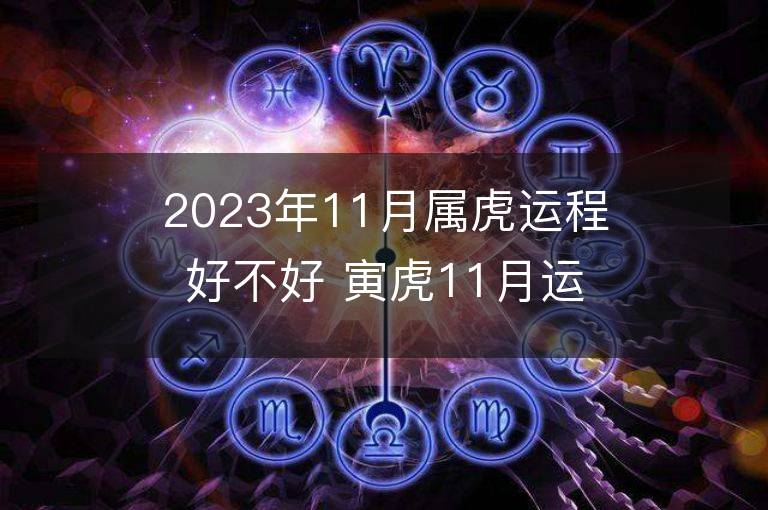 2023年11月屬虎運程好不好 寅虎11月運程全面解說