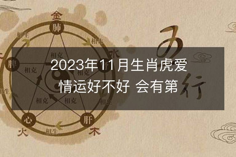 2023年11月生肖虎愛情運好不好 會有第三者插足嗎