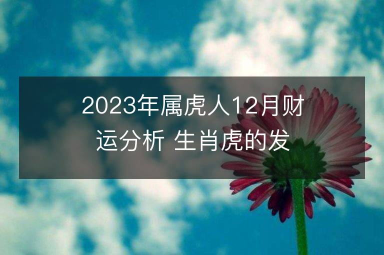 2023年屬虎人12月財運分析 生肖虎的發財方向和貴人