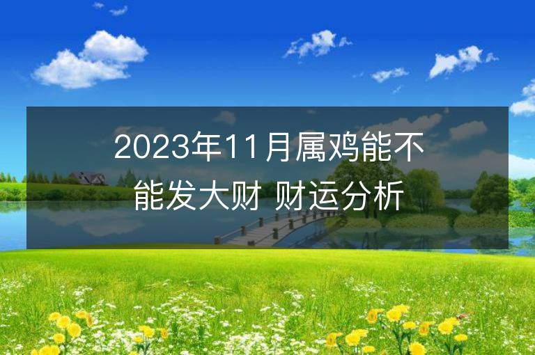 2023年11月屬雞能不能發大財 財運分析