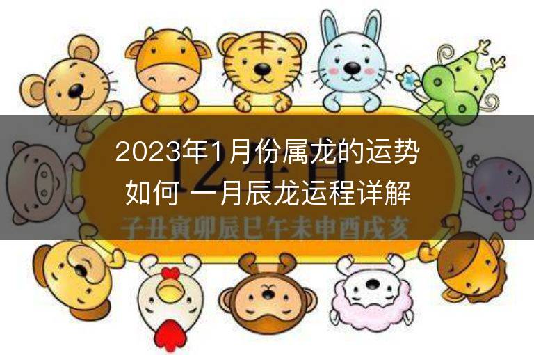 2023年1月份屬龍的運勢如何 一月辰龍運程詳解