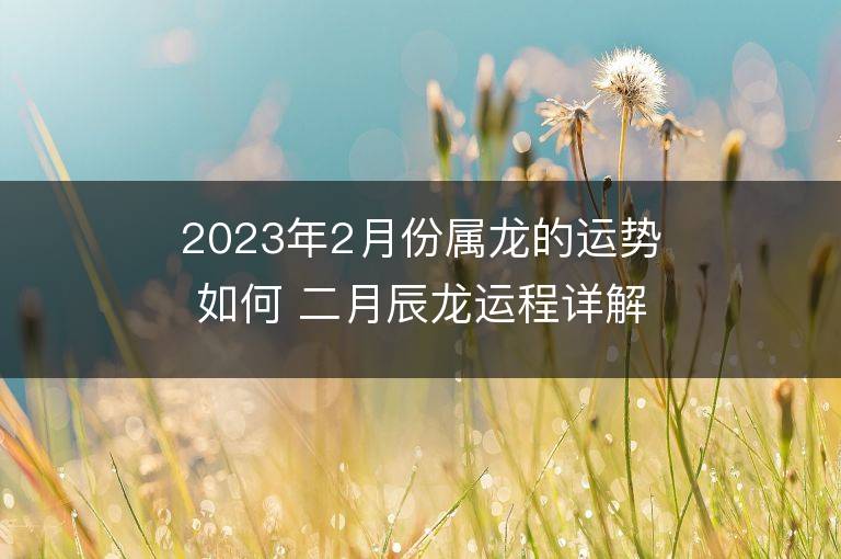 2023年2月份屬龍的運勢如何 二月辰龍運程詳解