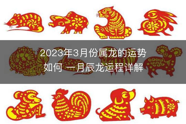 2023年3月份屬龍的運勢如何 一月辰龍運程詳解