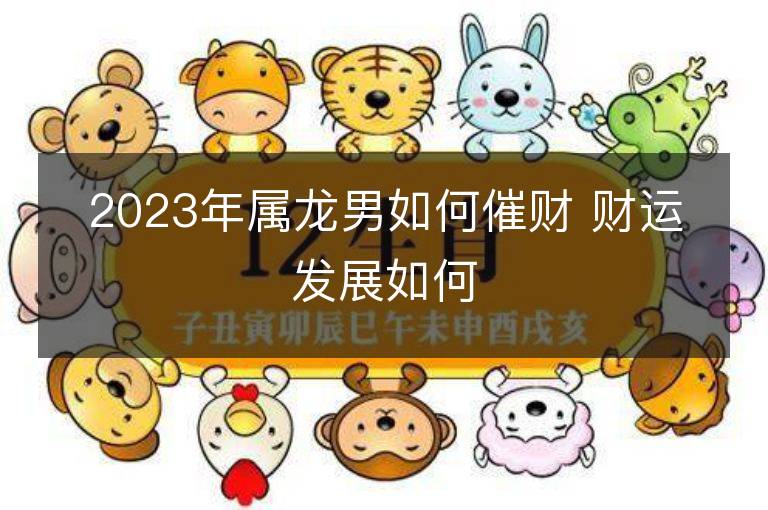 2023年屬龍男如何催財 財運發展如何