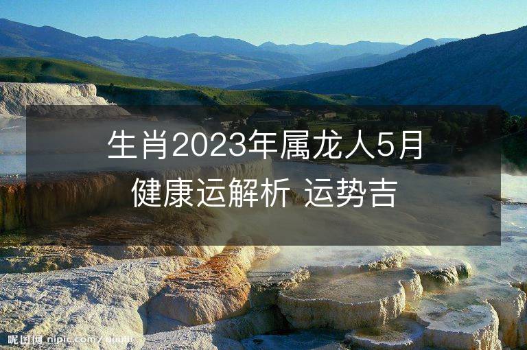 生肖2023年屬龍人5月健康運解析 運勢吉兇點評