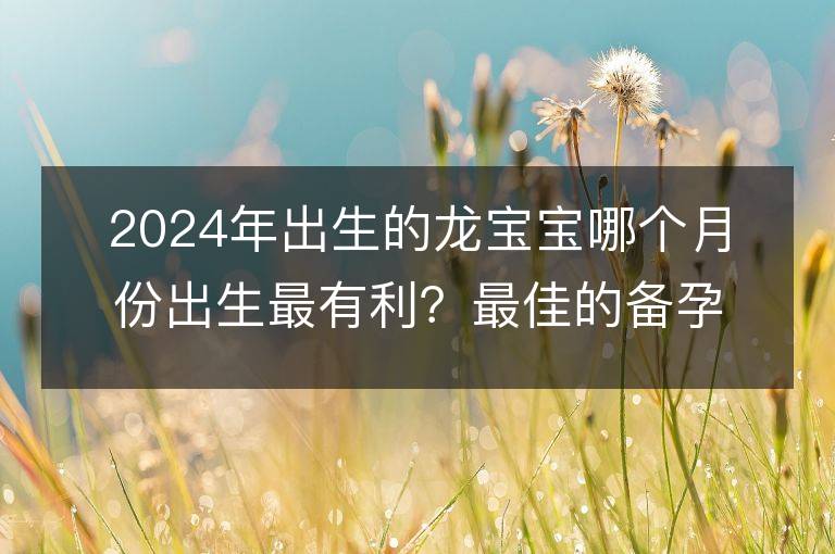 2024年出生的龍寶寶哪個月份出生最有利？最佳的備孕時間是在哪個月份？