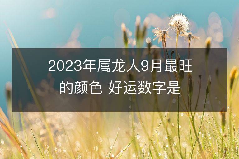 2023年屬龍人9月最旺的顏色 好運數字是什么