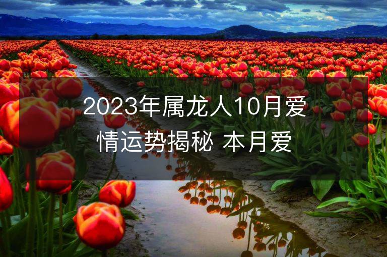 2023年屬龍人10月愛情運勢揭秘 本月愛情運大揭秘