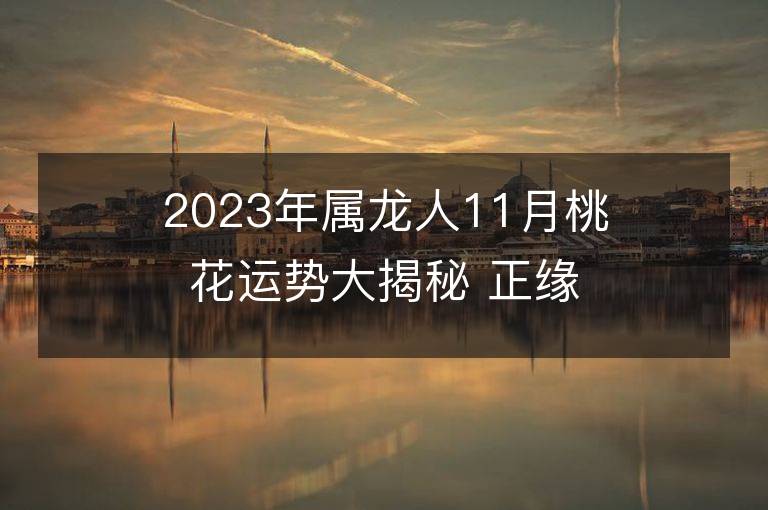 2023年屬龍人11月桃花運勢大揭秘 正緣運是否上升