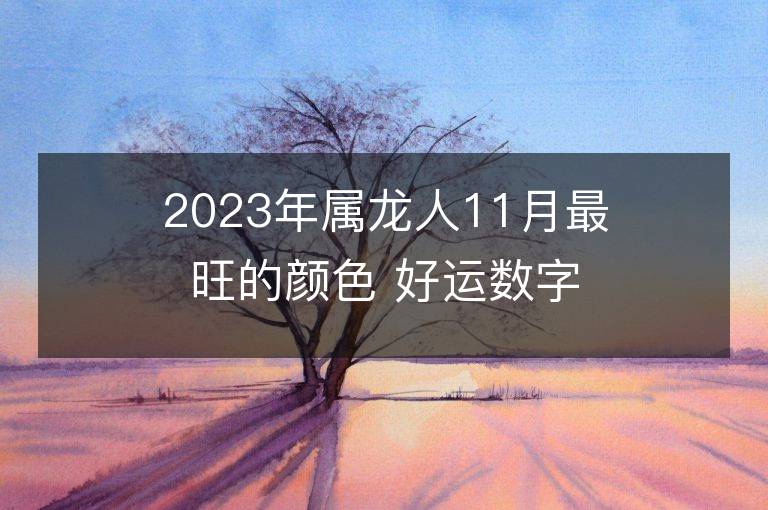 2023年屬龍人11月最旺的顏色 好運數字是什么