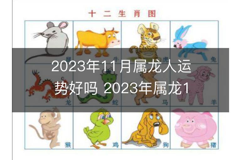 2023年11月屬龍人運勢好嗎 2023年屬龍11月運程如何