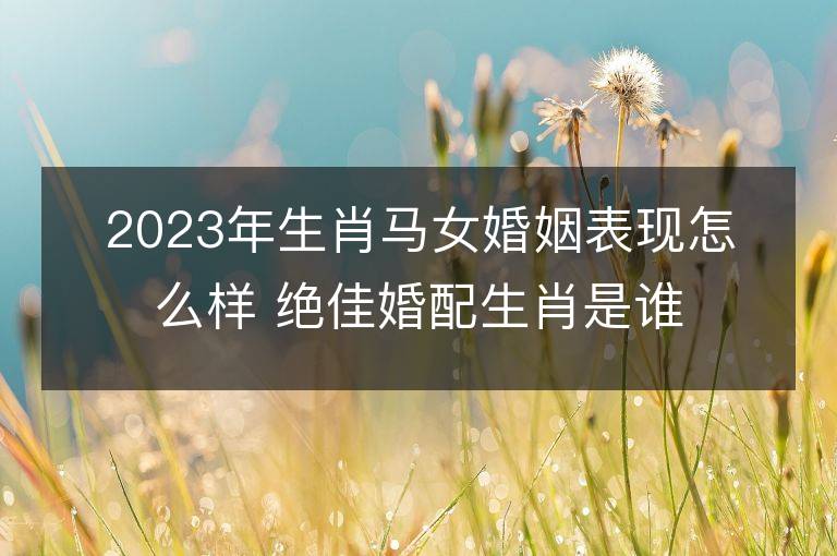 2023年生肖馬女婚姻表現怎么樣 絕佳婚配生肖是誰