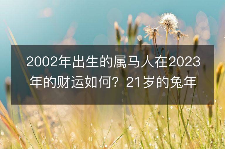 2002年出生的屬馬人在2023年的財運如何？21歲的兔年對他們的財氣是否有影響？