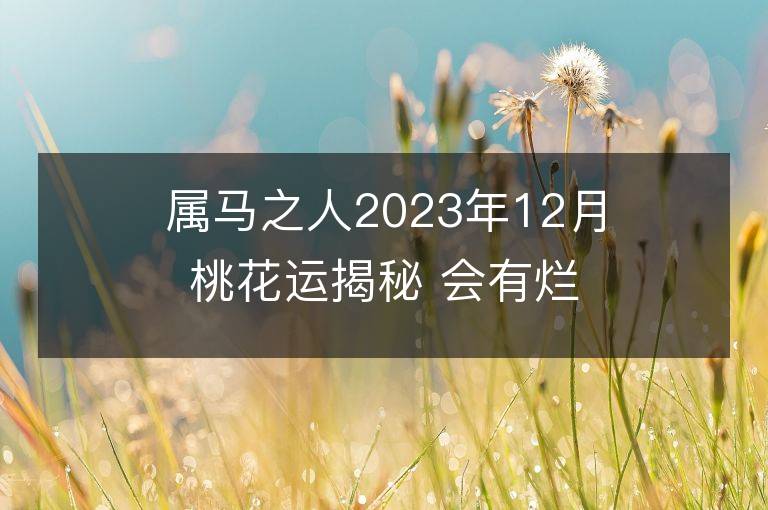 屬馬之人2023年12月桃花運揭秘 會有爛桃花嗎