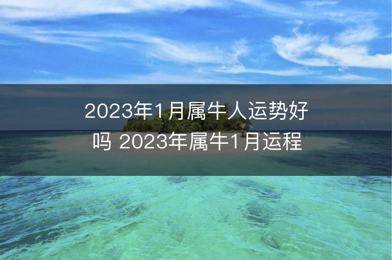 2023年1月屬牛人運勢好嗎 2023年屬牛1月運程如何