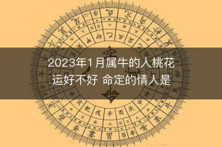 2023年1月屬牛的人桃花運好不好 命定的情人是誰