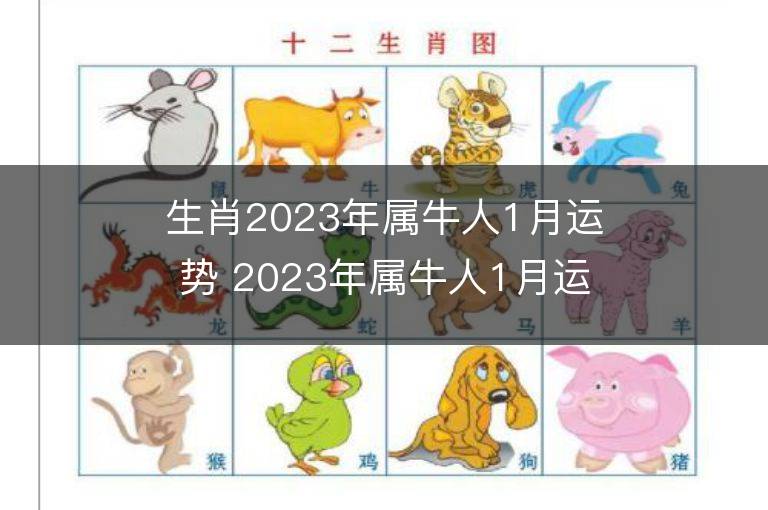 生肖2023年屬牛人1月運勢 2023年屬牛人1月運程如何