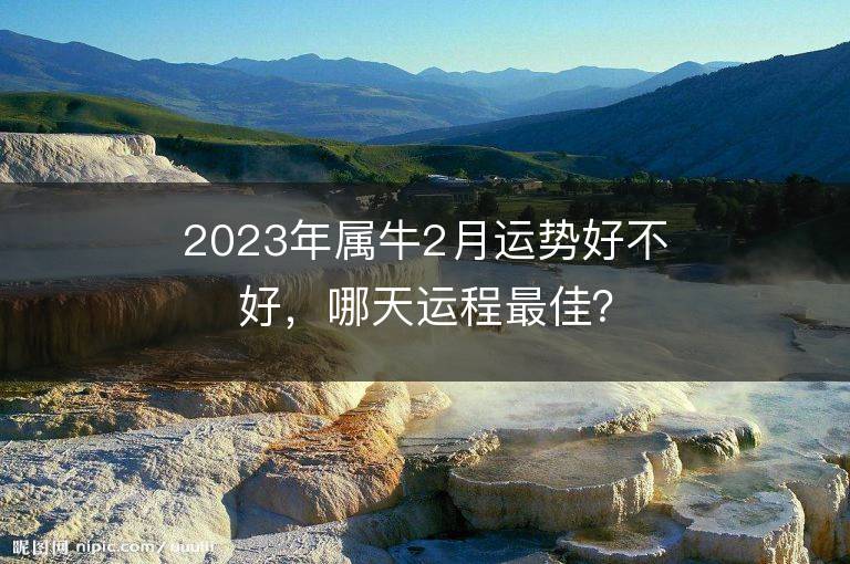 2023年屬牛2月運勢好不好，哪天運程最佳？