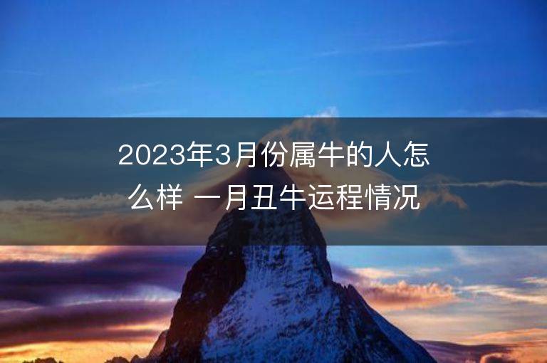 2023年3月份屬牛的人怎么樣 一月丑牛運程情況解析