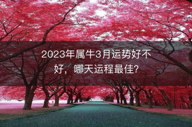 2023年屬牛3月運勢好不好，哪天運程最佳？