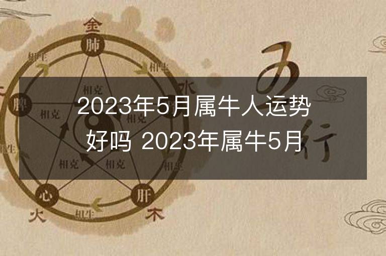 2023年5月屬牛人運勢好嗎 2023年屬牛5月運程如何