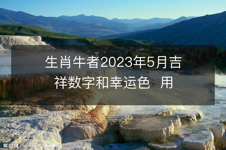 生肖牛者2023年5月吉祥數字和幸運色  用對讓你旺足一年！