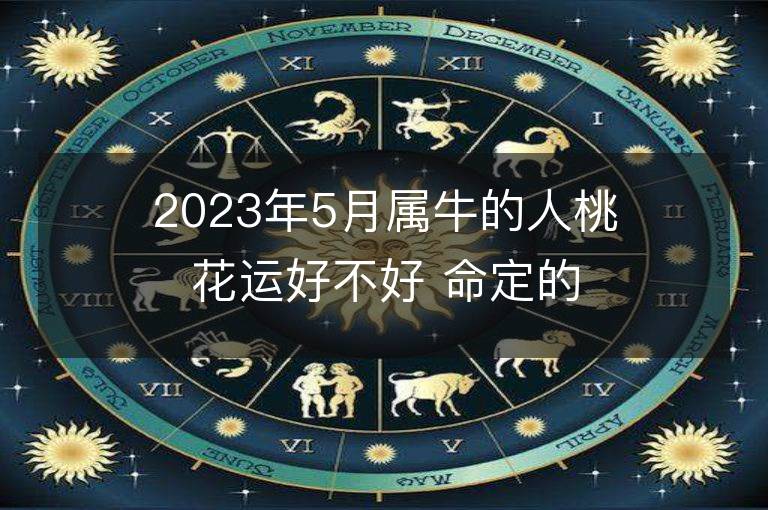 2023年5月屬牛的人桃花運(yùn)好不好 命定的情人是誰(shuí)