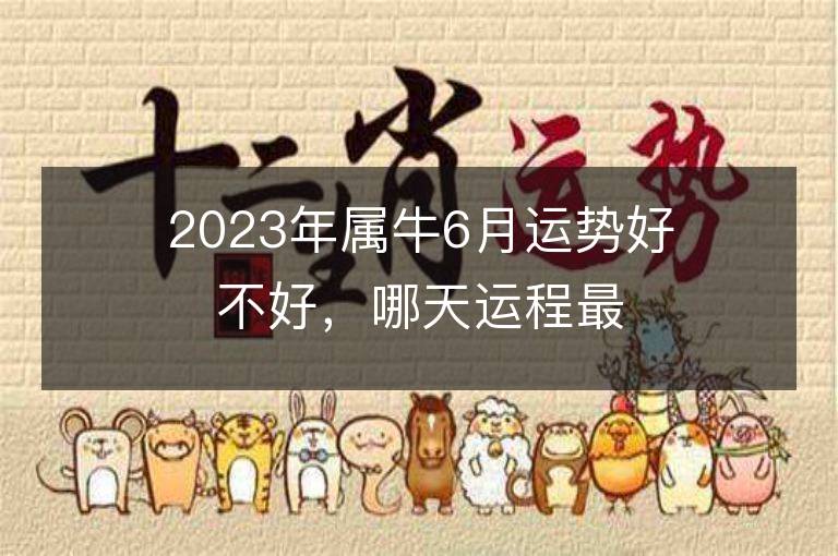 2023年屬牛6月運勢好不好，哪天運程最佳？