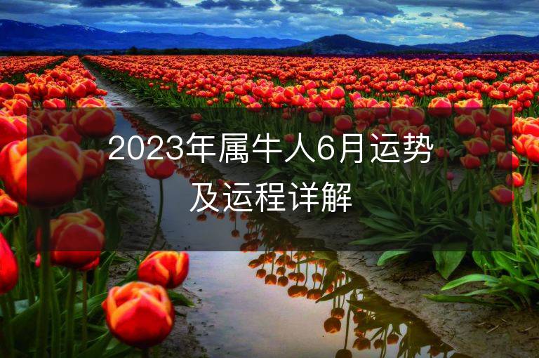 2023年屬牛人6月運勢及運程詳解