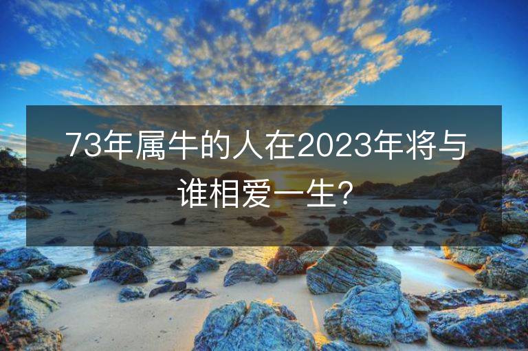 73年屬牛的人在2023年將與誰相愛一生？