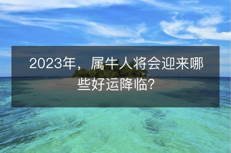 2023年，屬牛人將會迎來哪些好運降臨？