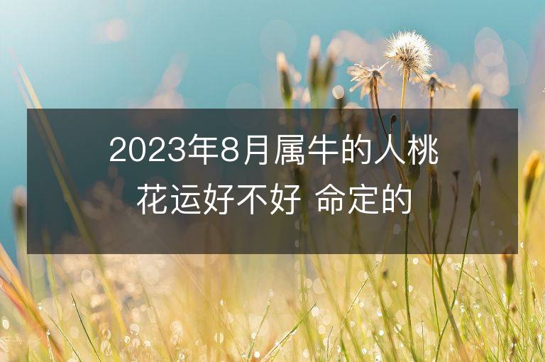 2023年8月屬牛的人桃花運好不好 命定的情人是誰