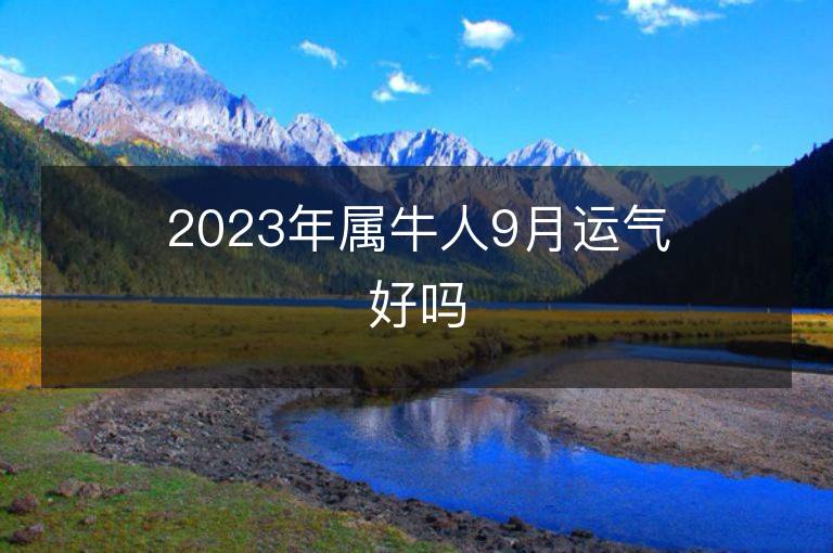 2023年屬牛人9月運氣好嗎