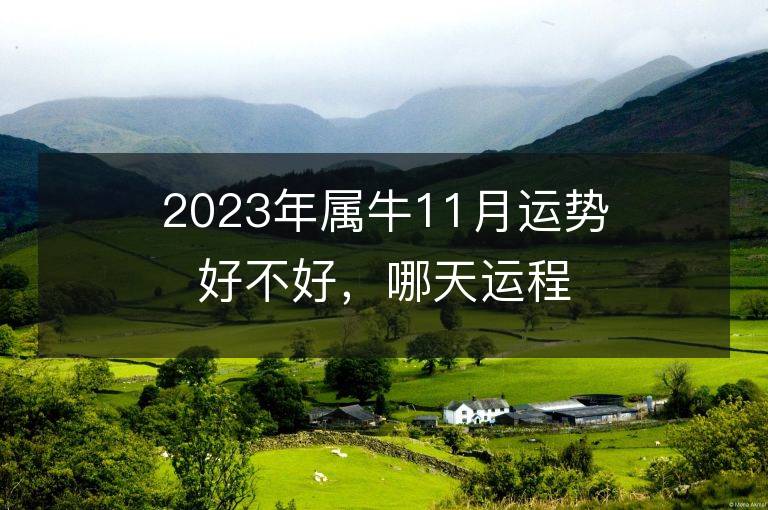 2023年屬牛11月運勢好不好，哪天運程最佳