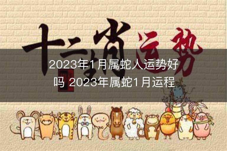 2023年1月屬蛇人運勢好嗎 2023年屬蛇1月運程如何