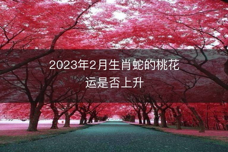 2023年2月生肖蛇的桃花運(yùn)是否上升