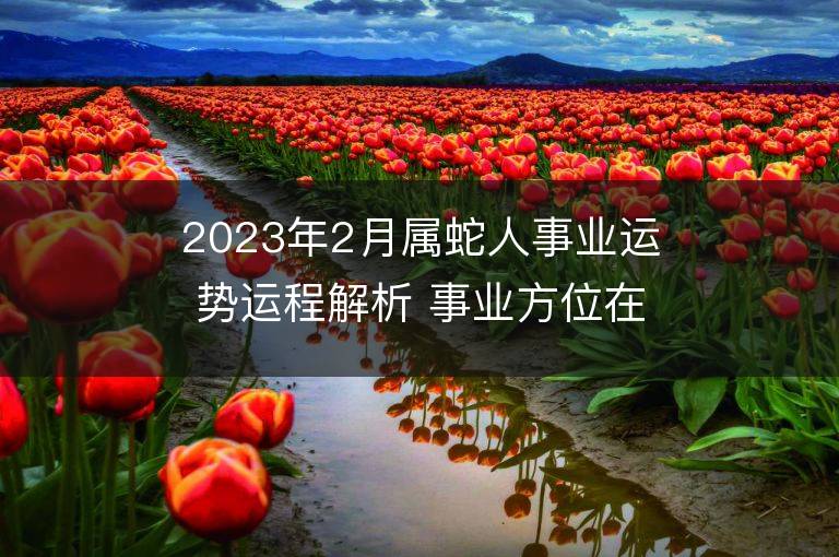 2023年2月屬蛇人事業運勢運程解析 事業方位在哪里