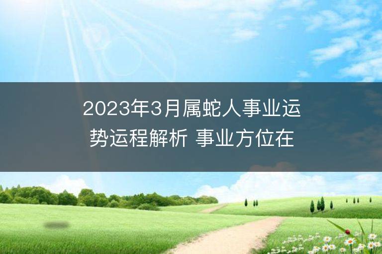 2023年3月屬蛇人事業運勢運程解析 事業方位在哪里