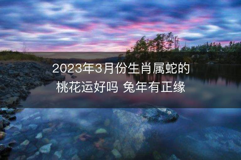 2023年3月份生肖屬蛇的桃花運好嗎 兔年有正緣還是孽緣