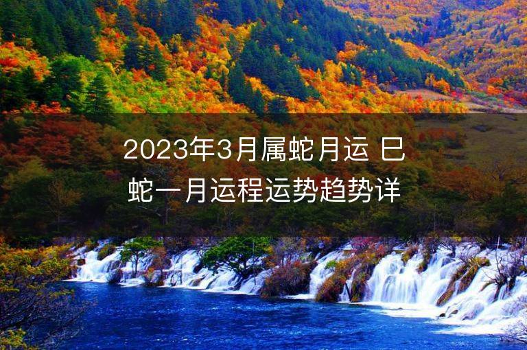 2023年3月屬蛇月運 巳蛇一月運程運勢趨勢詳解