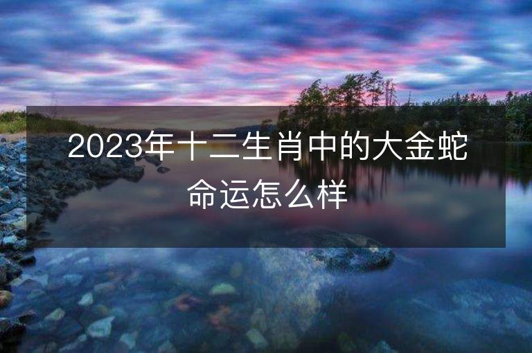 2023年十二生肖中的大金蛇命運怎么樣